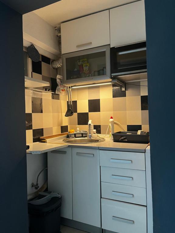 Apartment in Vračar - 2
