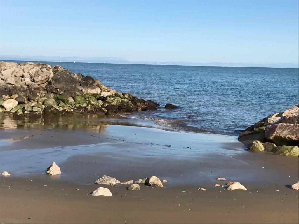 Apartment in Bibione 54733 - 2