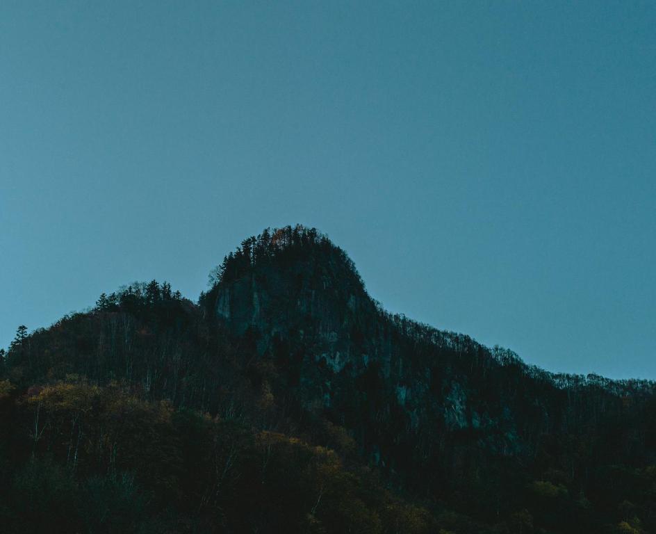 景觀