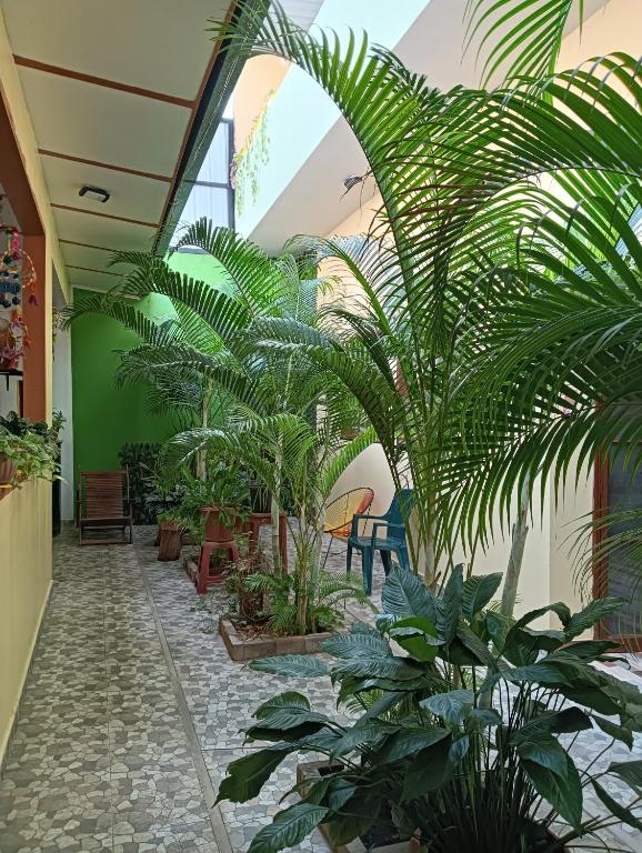 Hospedaje La Casa del Sol - 4