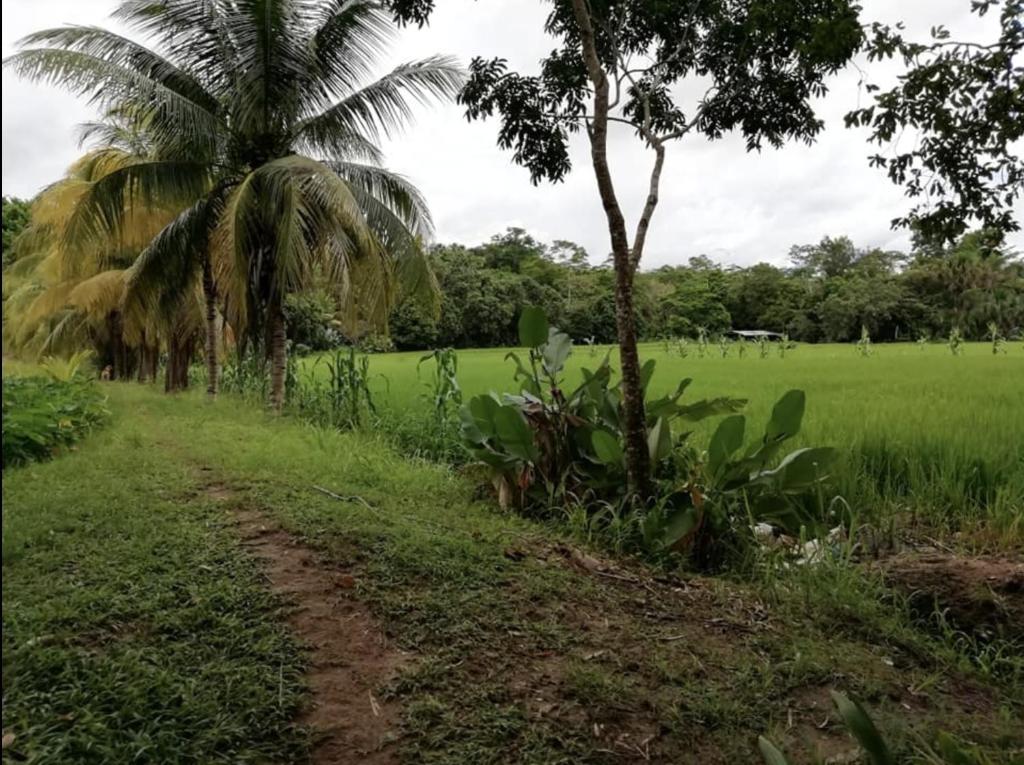 Mantra camping hostel - 4