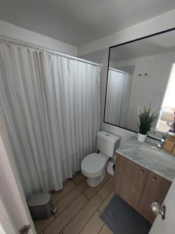 Departamento Tocornal - 2