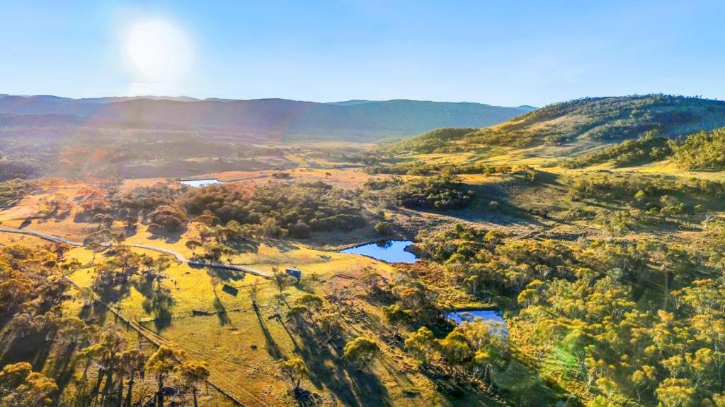 Wuelf & the Fallow, Moonbah