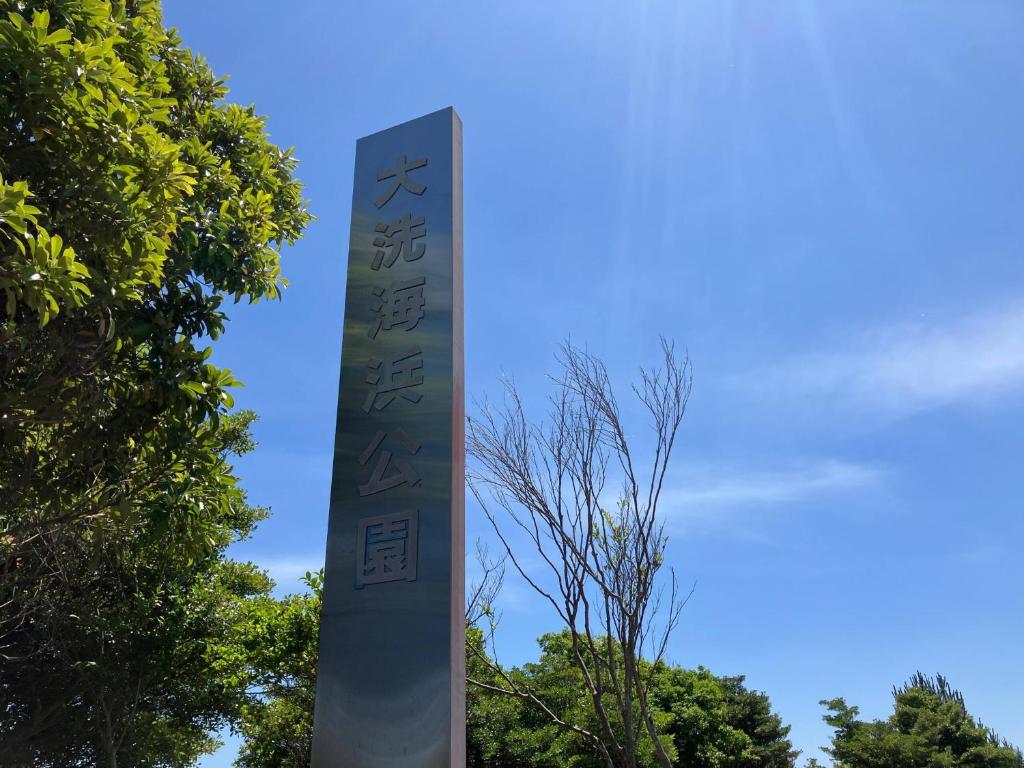 Ảnh 5