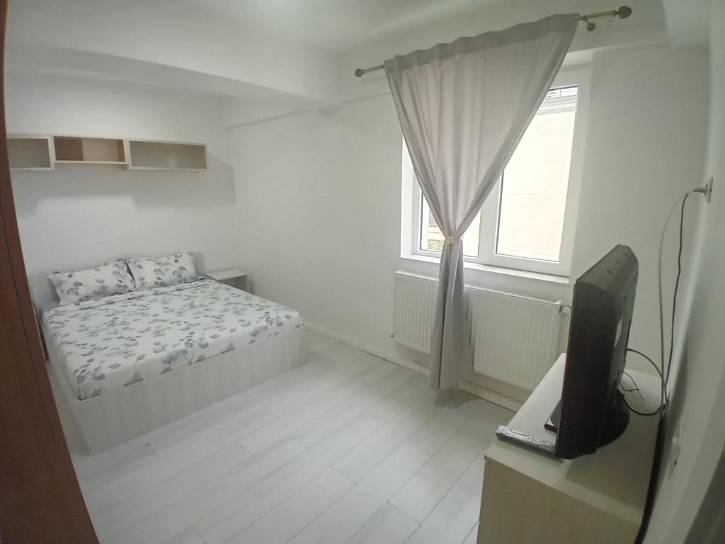 Ștefan, Mamaia Nord