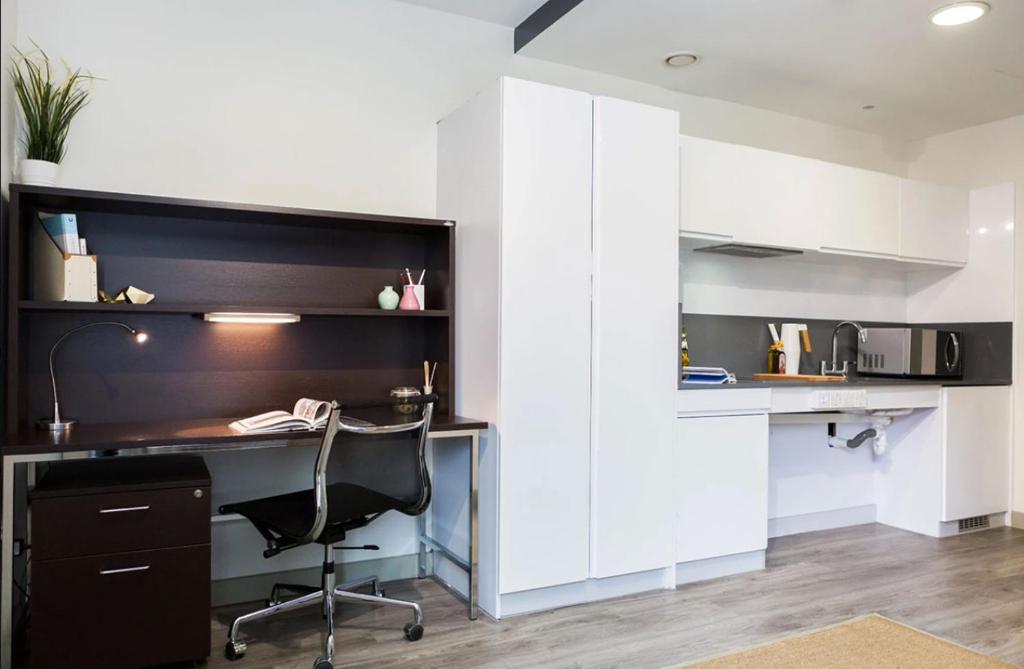Student Only Platinum Studio Lower Level at Kings Cross, London
