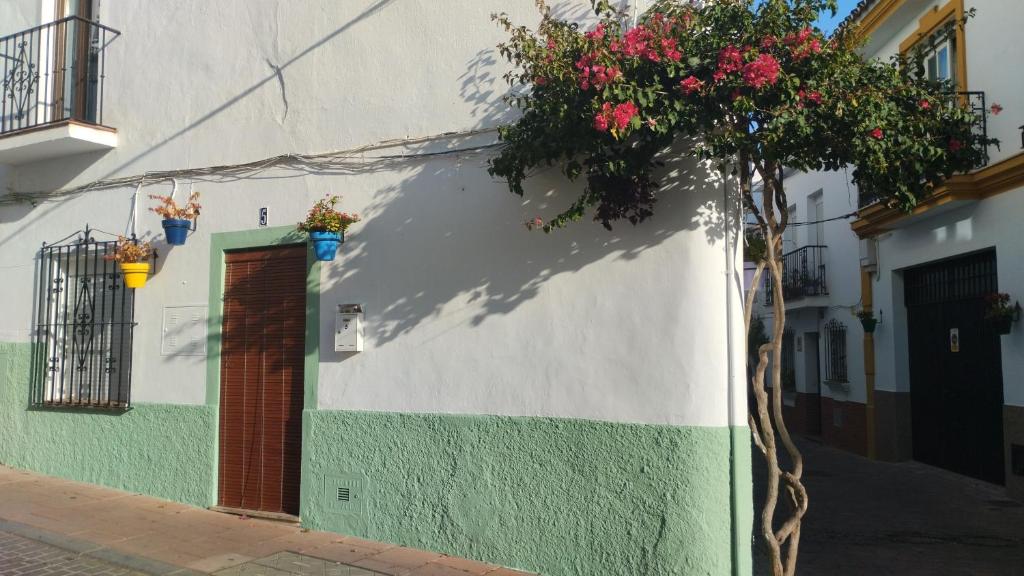 La Casita de Mari - 2