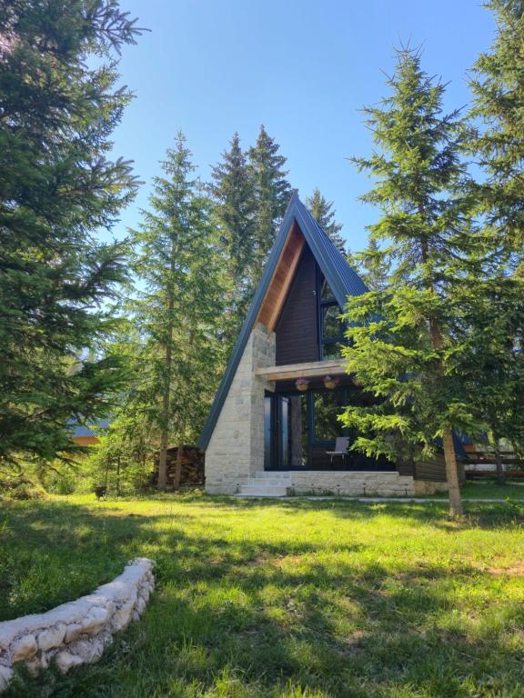 Basna FoRest, Žabljak