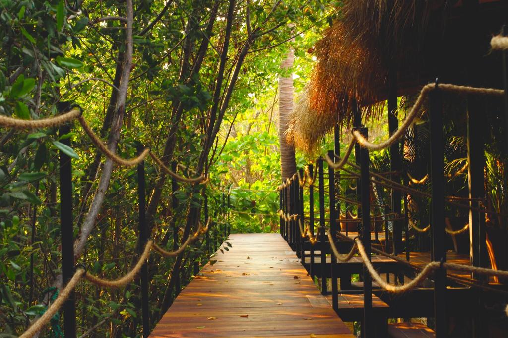Hotel Noga — Hotel in Zipolite