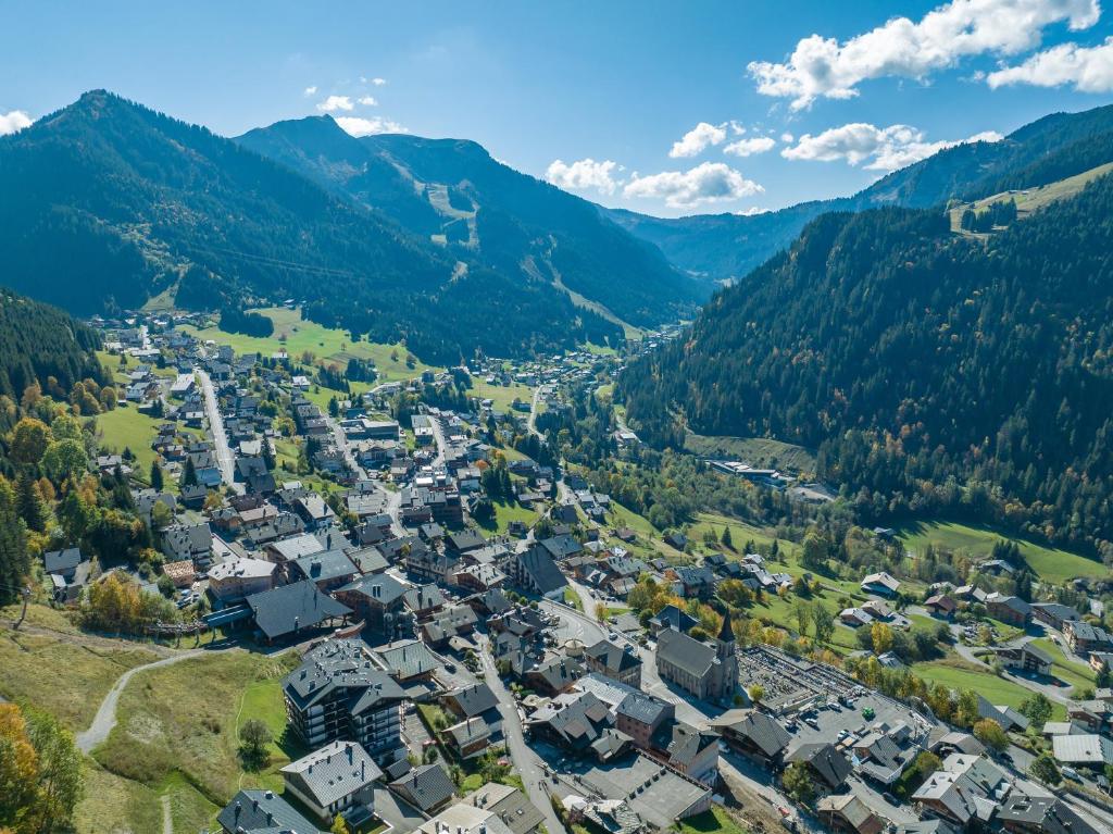The View - Apt 03 - BO Immobilier - Châtel Multipass été 2026 en option au tarif de 4euros par jour et par personne - 3