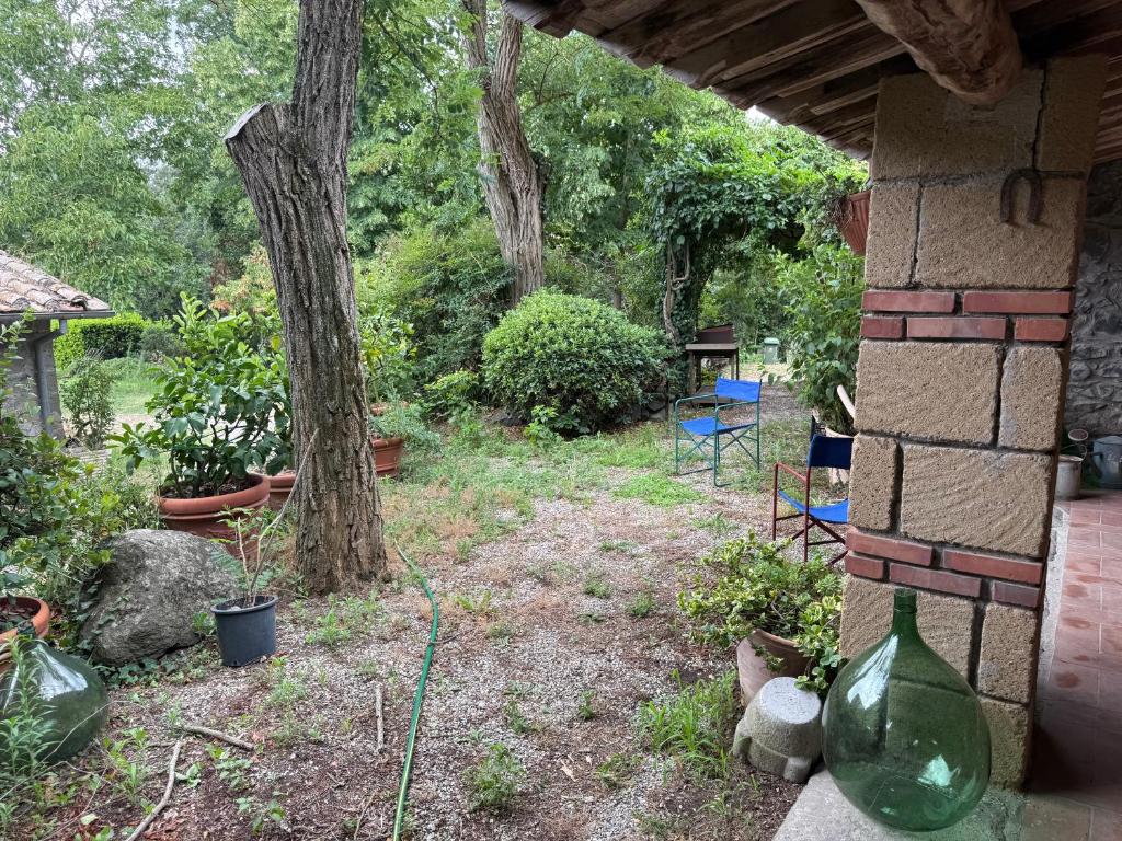 Iorio's Country House - 4