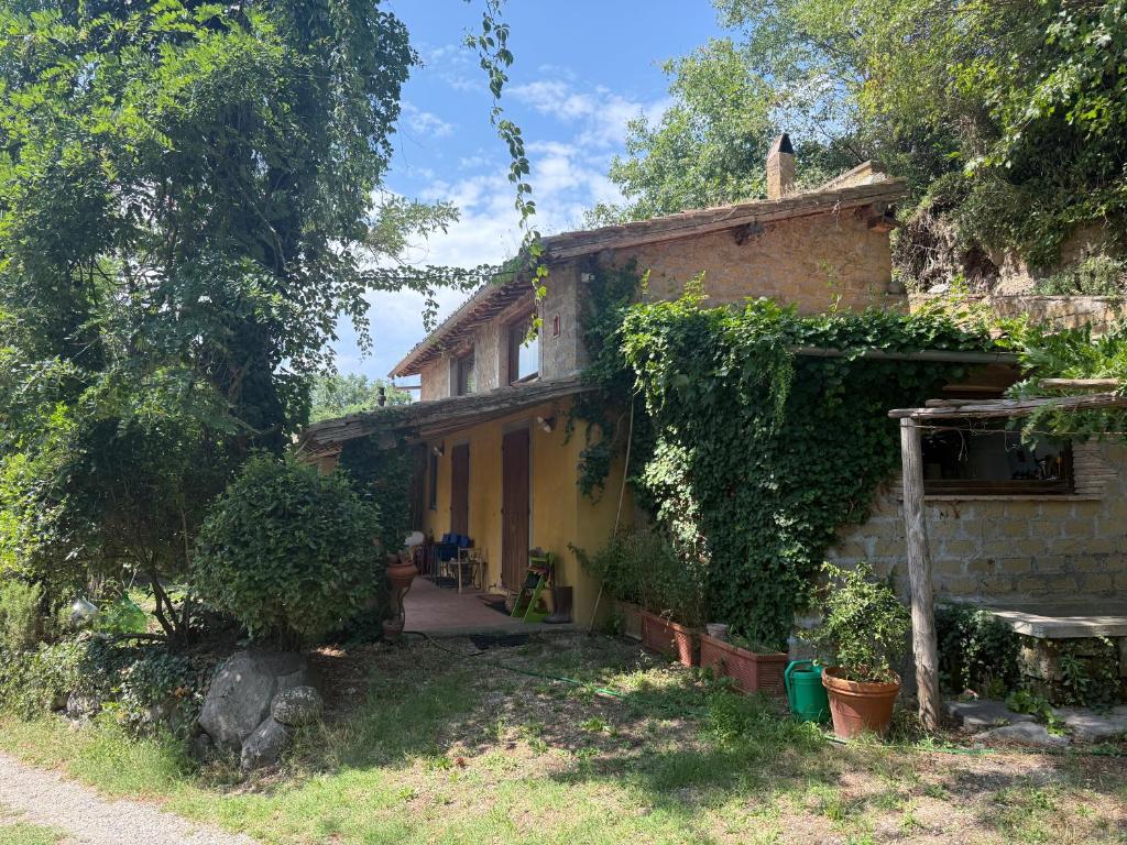 Iorio's Country House - 2
