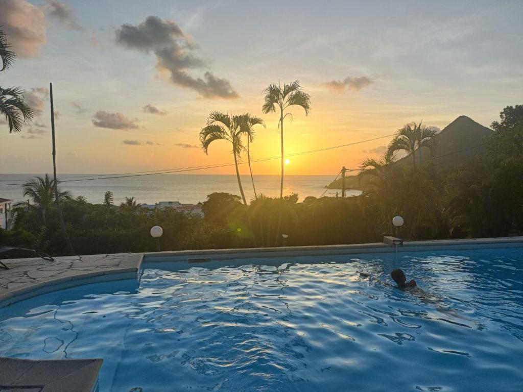 Appartement vue mer avec piscine, Les Anses-dʼArlets
