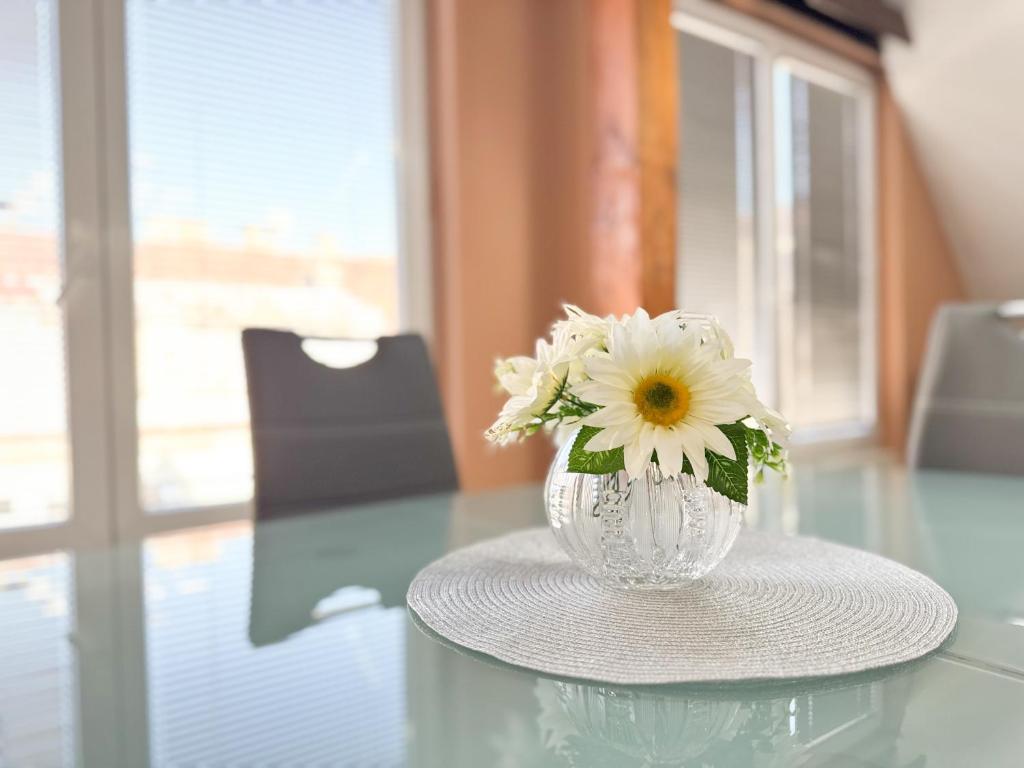 VELORA Residence Sarajevo, Sarajevo