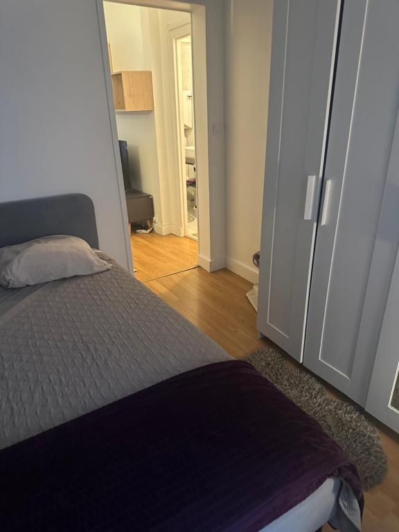 Bel Appartement Paris 11 - 3