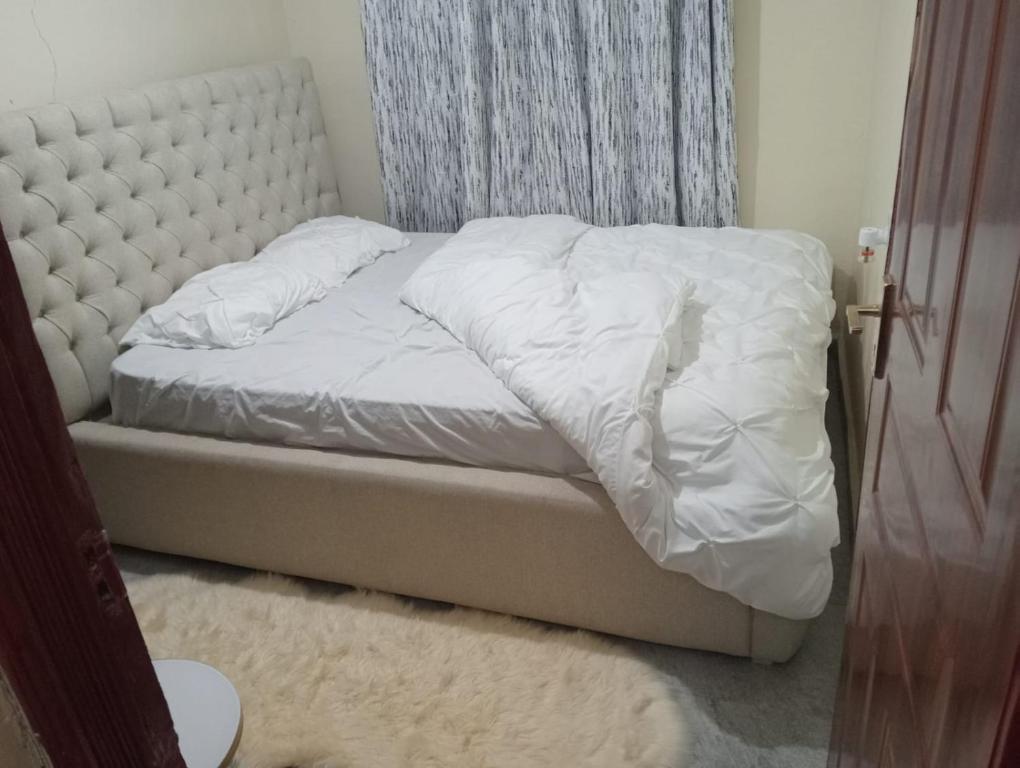 Steve Apartment, Kakamega