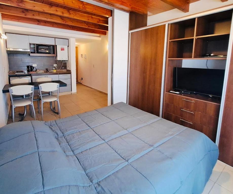 Amplio Monoambiente en el centro, San Martín de los Andes