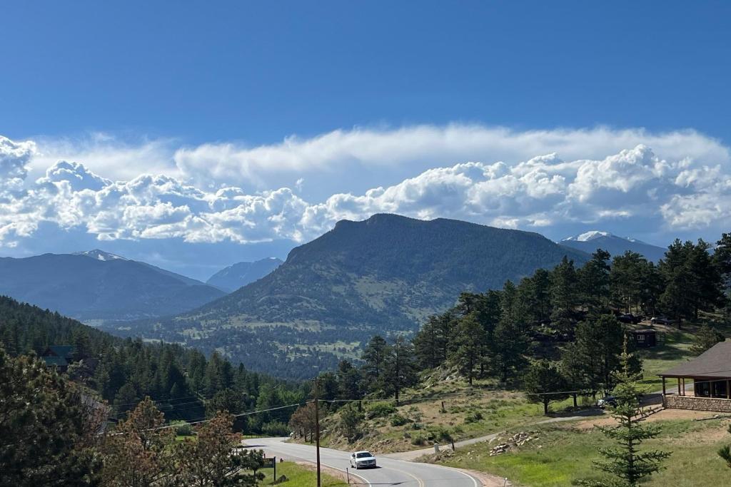 Silver Tree, Estes Park