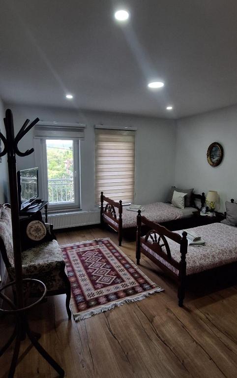 Apartman Nani - 3