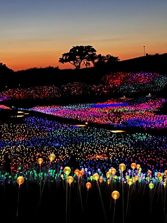 Filbert Reserve, Paso Robles