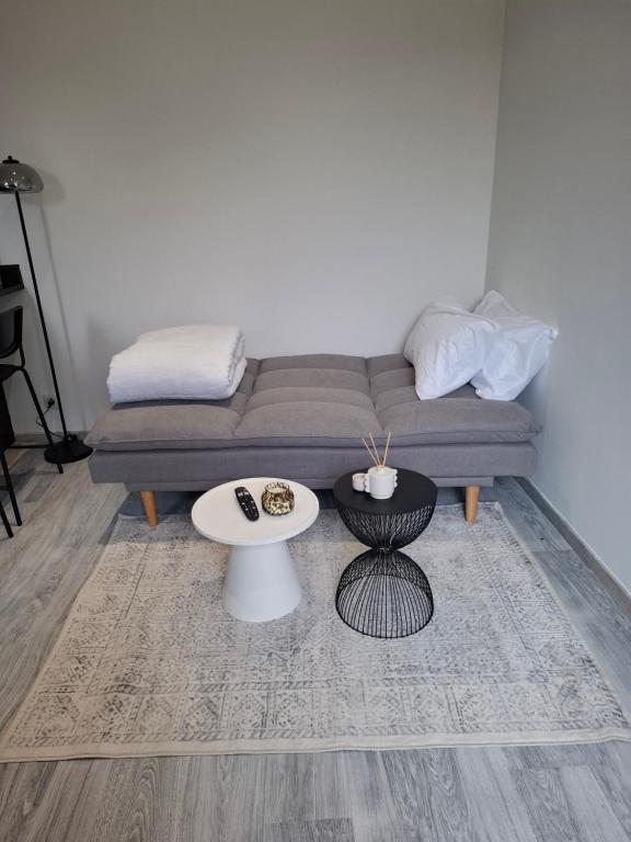 Appartement cosy proche centre-ville - 4
