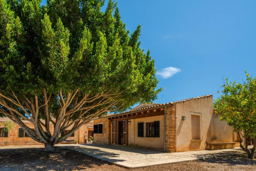 Arta - 4510-44 Mallorca - 4