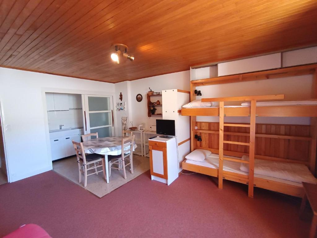 Studio abordable proche pistes, balcon sud, animaux admis - FR-1-445-90 - 4