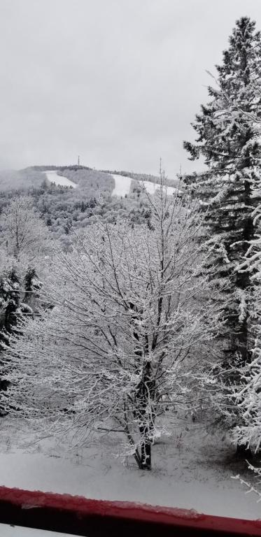 Mountain view chalet avec vue sur la montagne, Stoneham