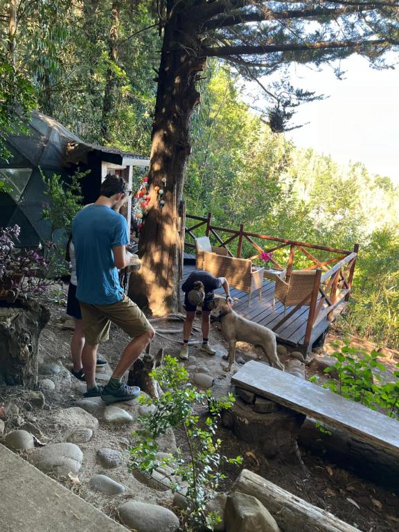 Domos Temuco, Cumbres del Conunhuenu - 5