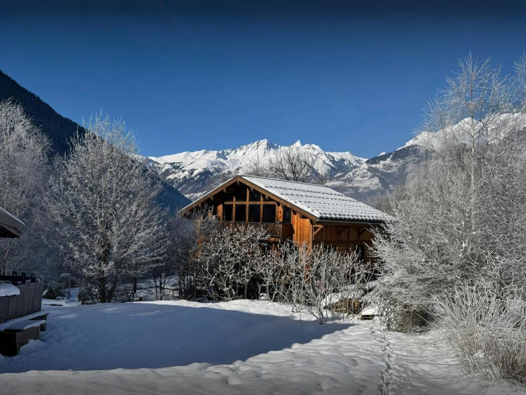 Chalet Wonderland - OVO Network - 4