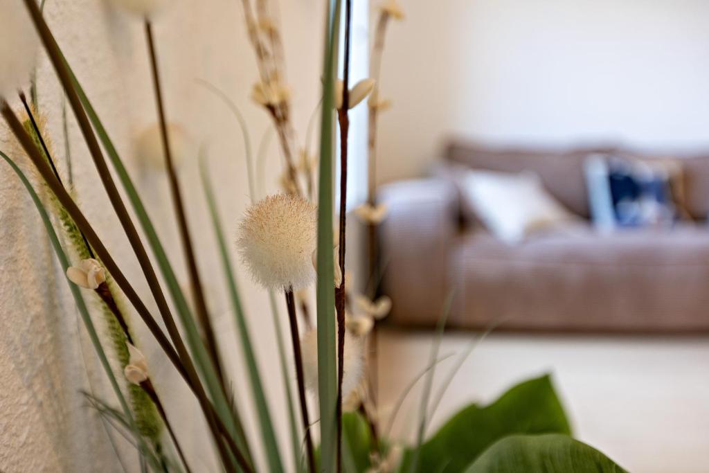 Spacious Renovated Apt in Pezenas Center - 4