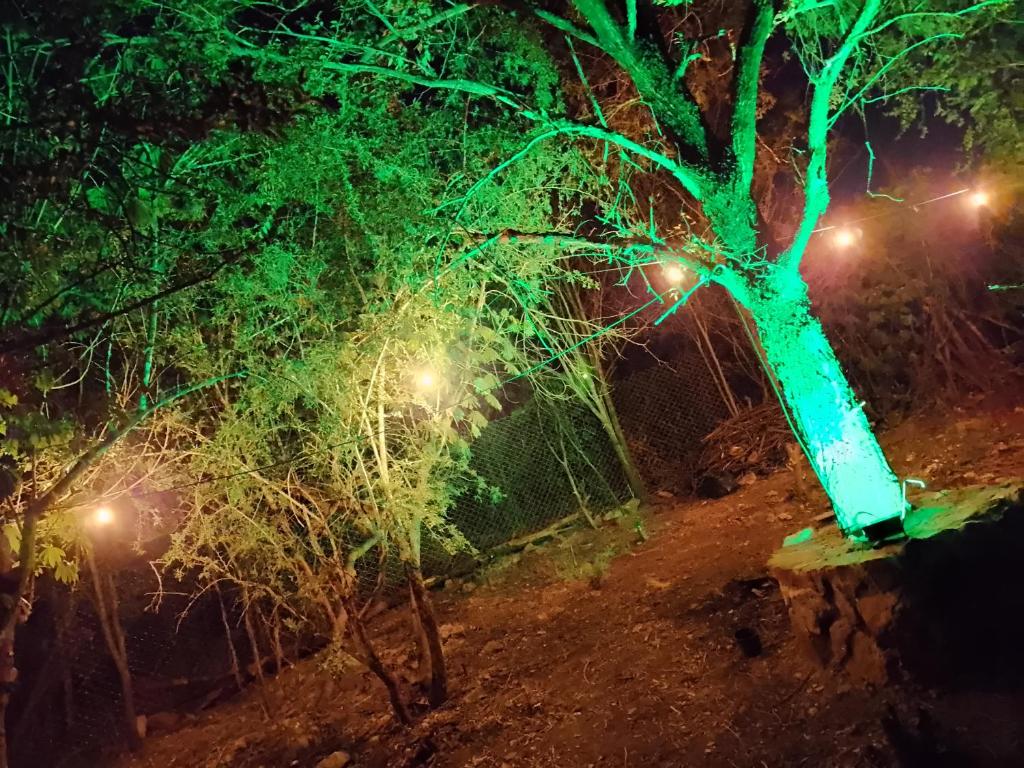 Lo De ADRI - 4