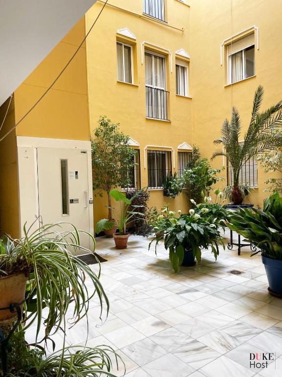 Alameda Apartments - Bajo - 4