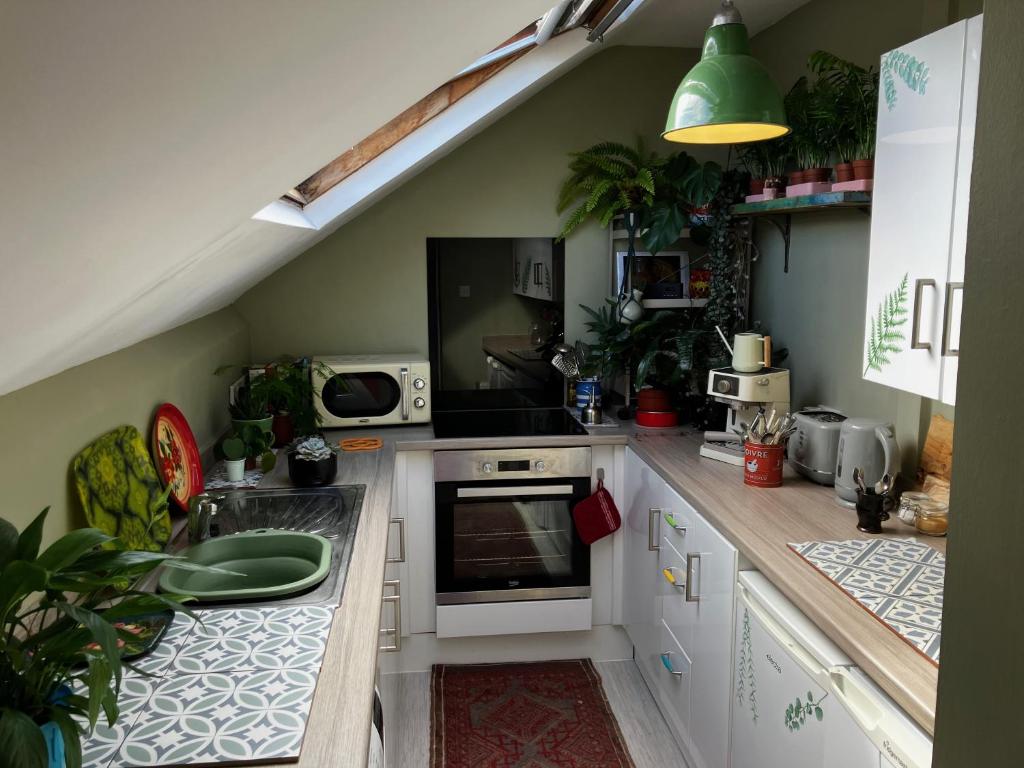 8b The Bookcase, Dawlish photo 4