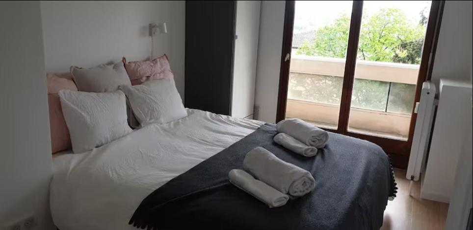 Cozy 2-Room Apartment, 10 min Walk to Tram for Geneva - 3
