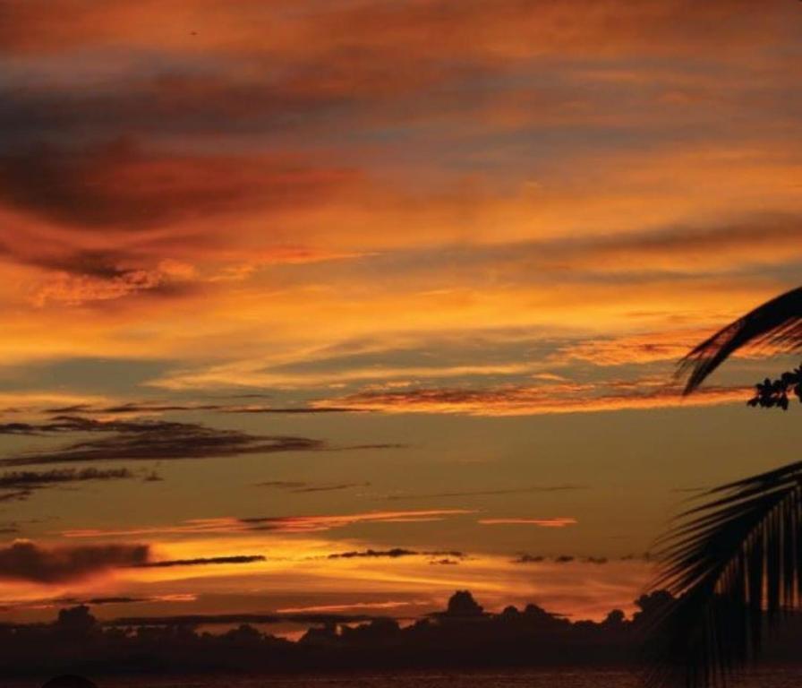 Apartamento coral, Necoclí