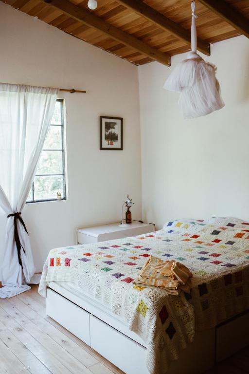 CASA XI - Isla del Delta - 3