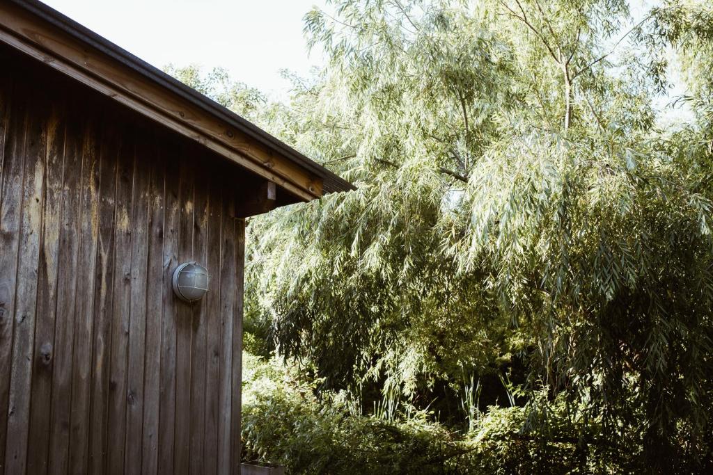 CASA XI - Isla del Delta - 5