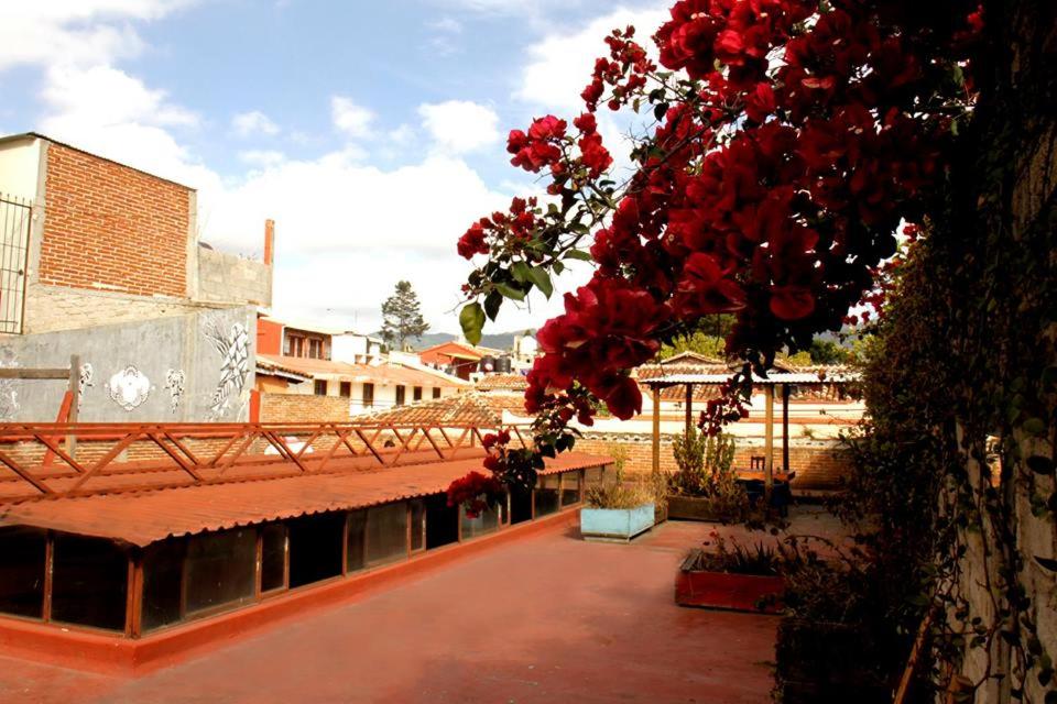 Hostel El Nagual - 2