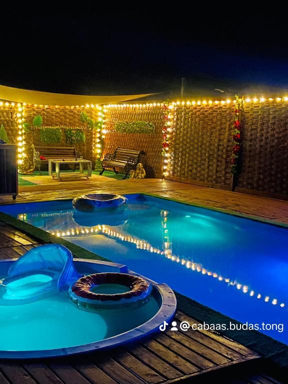 Propiedades Buda-Tongoy-Chile - 2