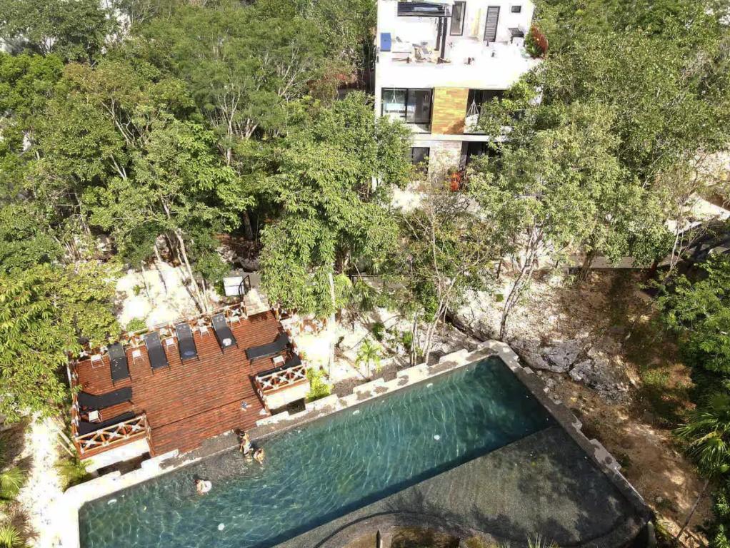 The Strelitzia Project with Private Cenote & Infinity Pool - 4