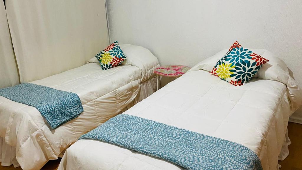 Bosques del Paico, Punta Arenas - 2