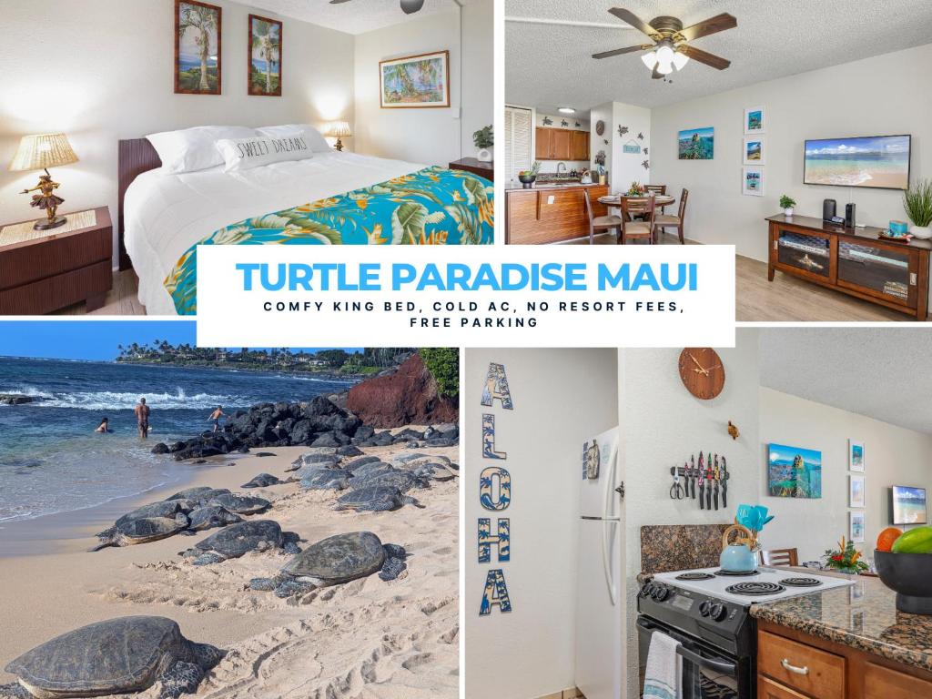 Turtle Paradise - King bed, AC, Across from Beach, Kihei