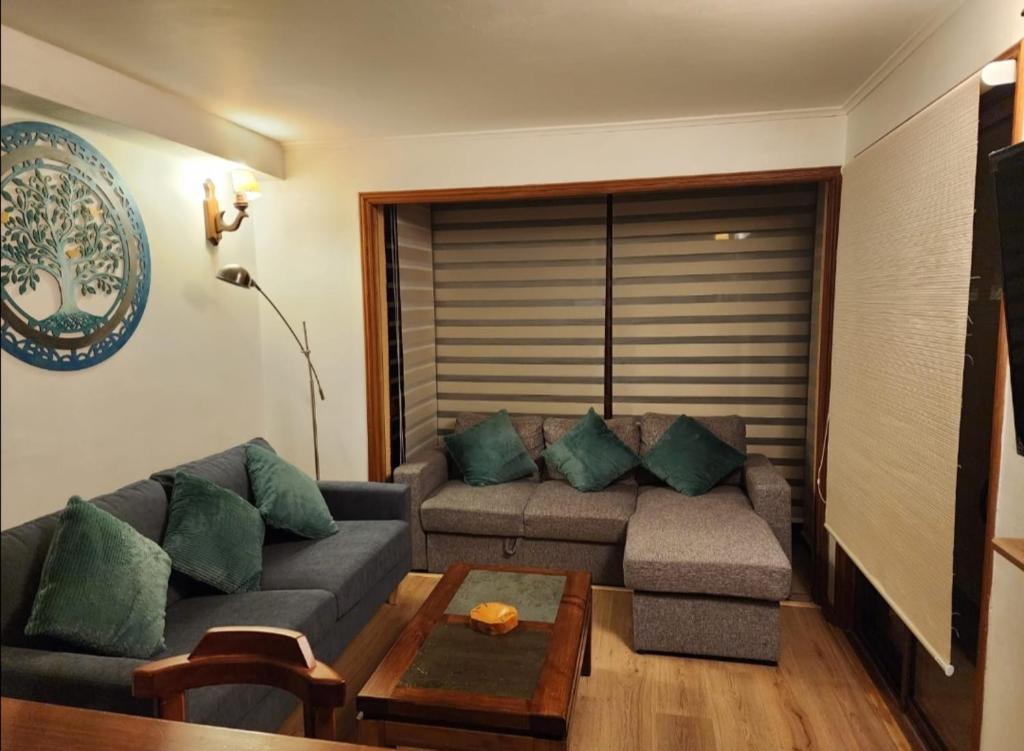 Apartamento cercano a Termas de Chillán - 5