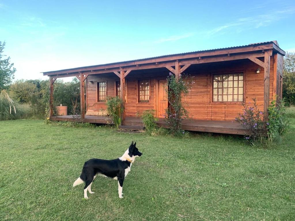 La Presumida - 1