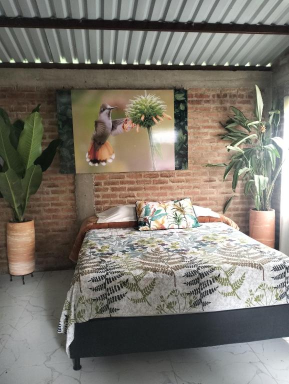Osprey Ecolodge - 1