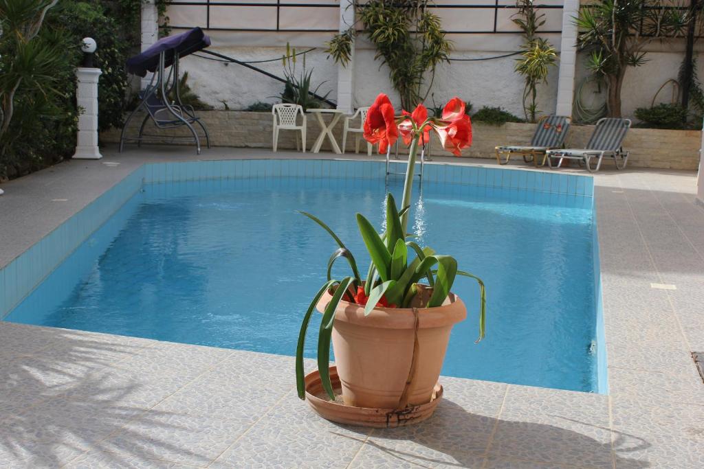 El Greco Apartments photo