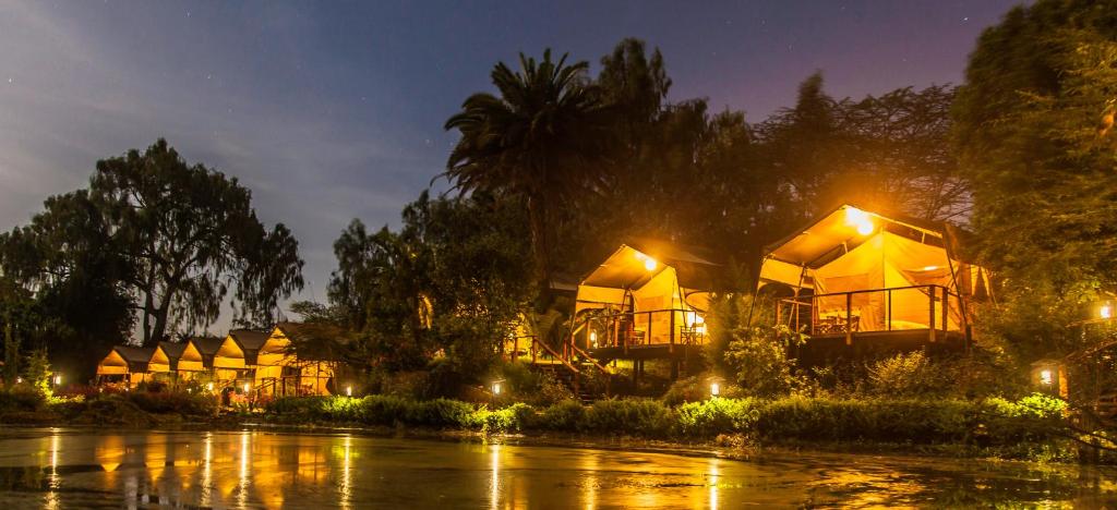 Wildebeest Eco Camp 2