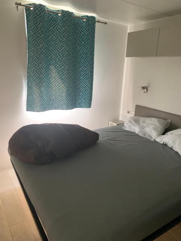 Mobilhome 6pers Camping le Neptune Argeles sur mer - 1