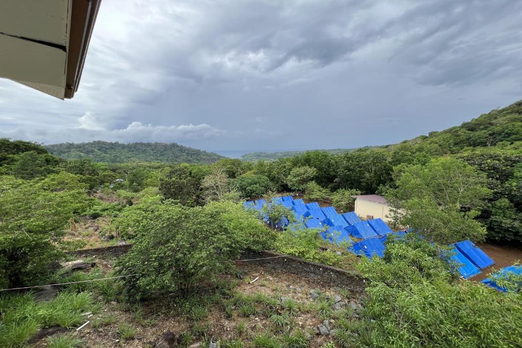 Surrounding environment